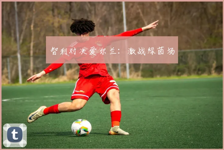 智利对决爱尔兰：激战绿茵场