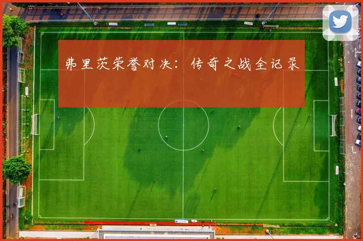 弗里茨荣誉对决：传奇之战全记录