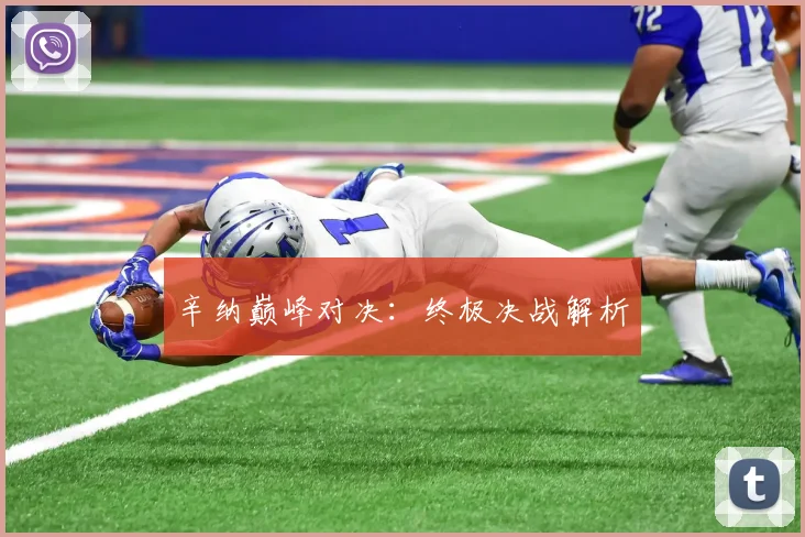 辛纳巅峰对决：终极决战解析