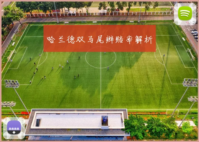 哈兰德双马尾辫赔率解析