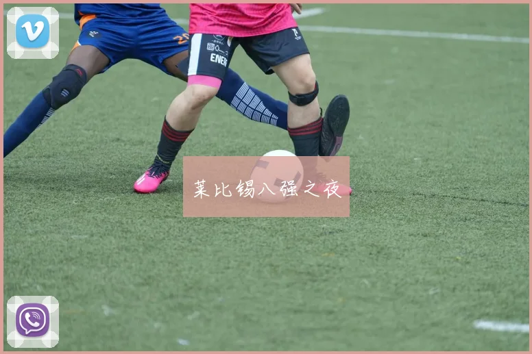 莱比锡八强之夜