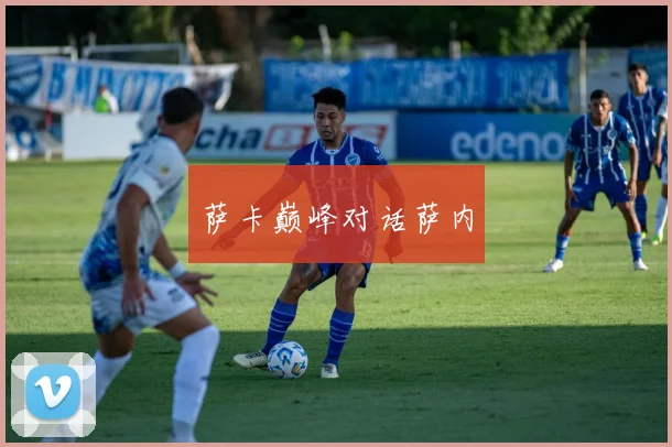 萨卡巅峰对话萨内