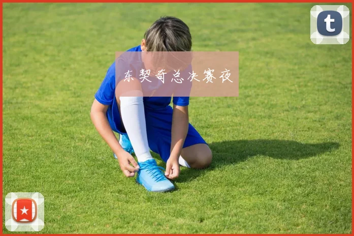 东契奇总决赛夜