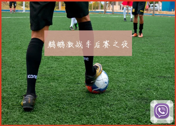 鹈鹕激战季后赛之夜