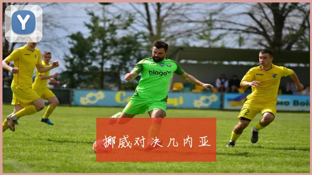 挪威对决几内亚