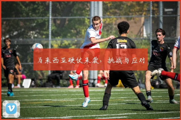 马来西亚硬仗来袭，挑战与应对