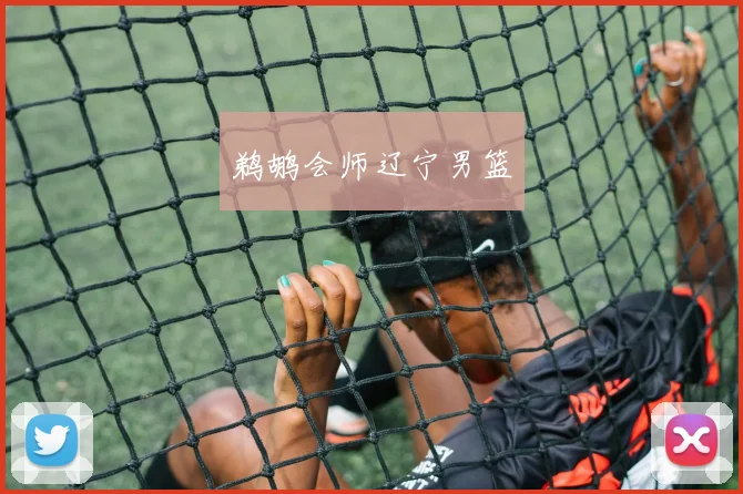 鹈鹕会师辽宁男篮