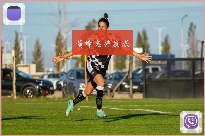黄蜂老将发威