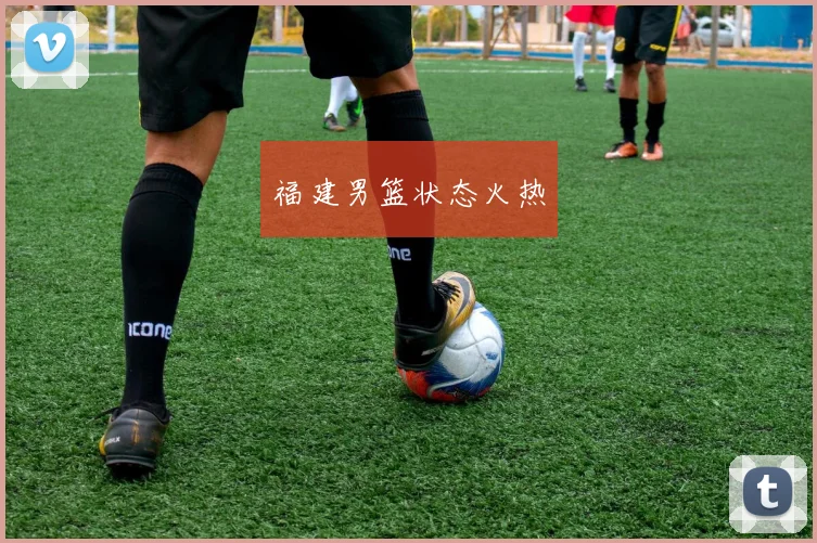 福建男篮状态火热