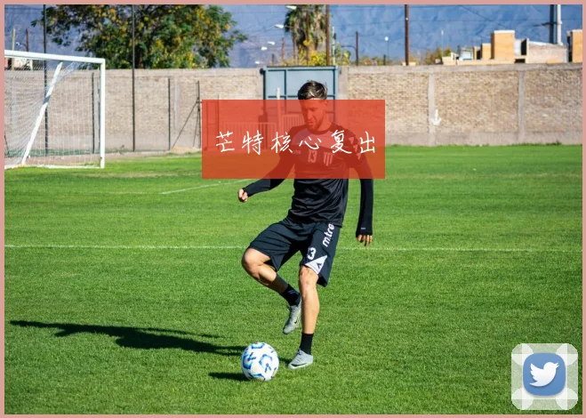 芒特核心复出