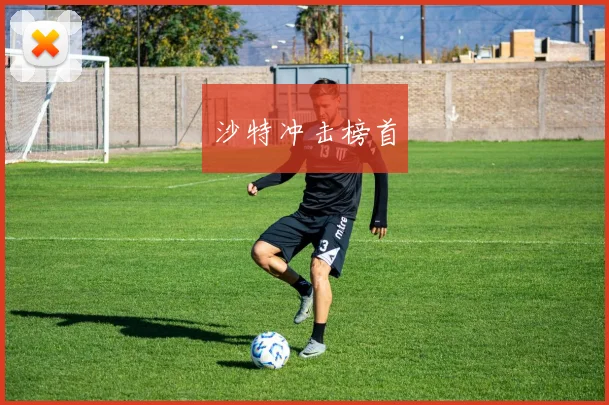 沙特冲击榜首