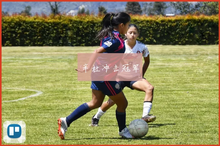 辛杜冲击冠军