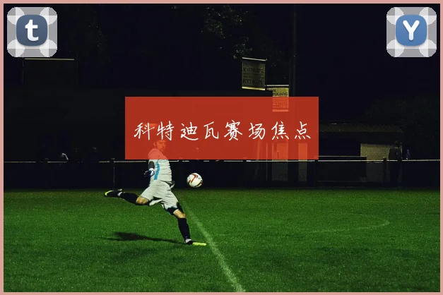 科特迪瓦赛场焦点