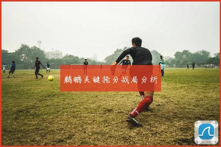 鹈鹕关键抢分战局分析