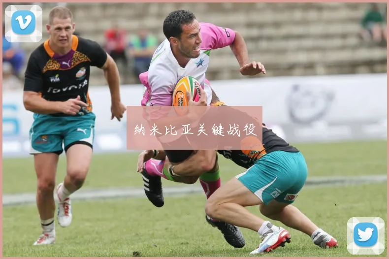 纳米比亚关键战役