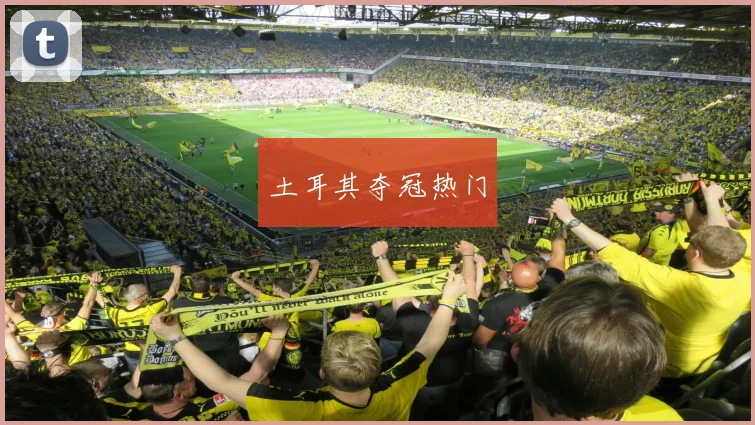 土耳其夺冠热门