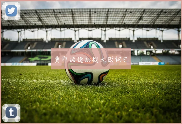 费耶诺德挑战大阪钢巴