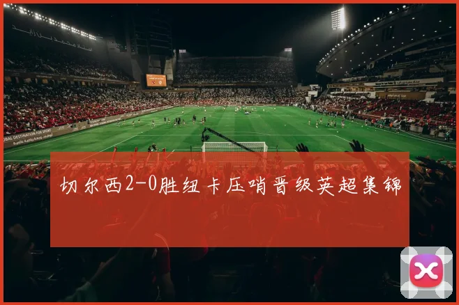 切尔西2-0胜纽卡压哨晋级英超集锦