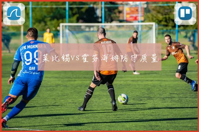 莱比锡vs霍芬海姆防守质量