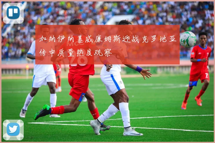 加纳伊纳基威廉姆斯迎战克罗地亚传中质量热度观察