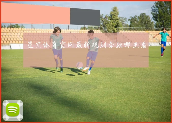 星空体育官网最新规则条款哪里看