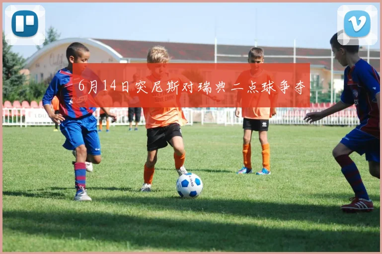 6月14日突尼斯对瑞典二点球争夺