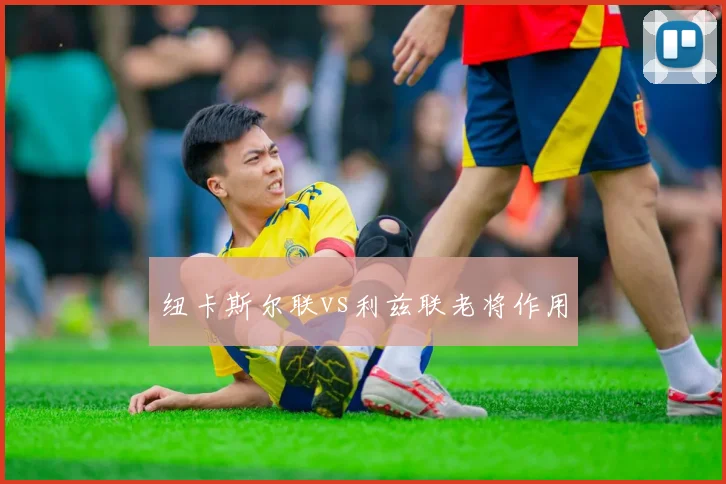 纽卡斯尔联vs利兹联老将作用